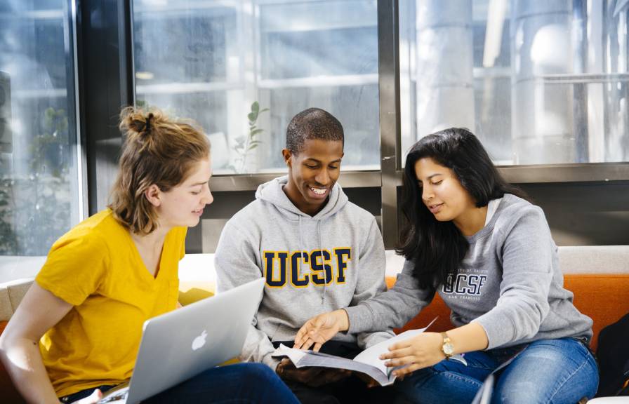 Group of three students studying together