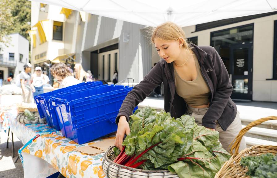 Student standing behind a table positioning pile of kale.