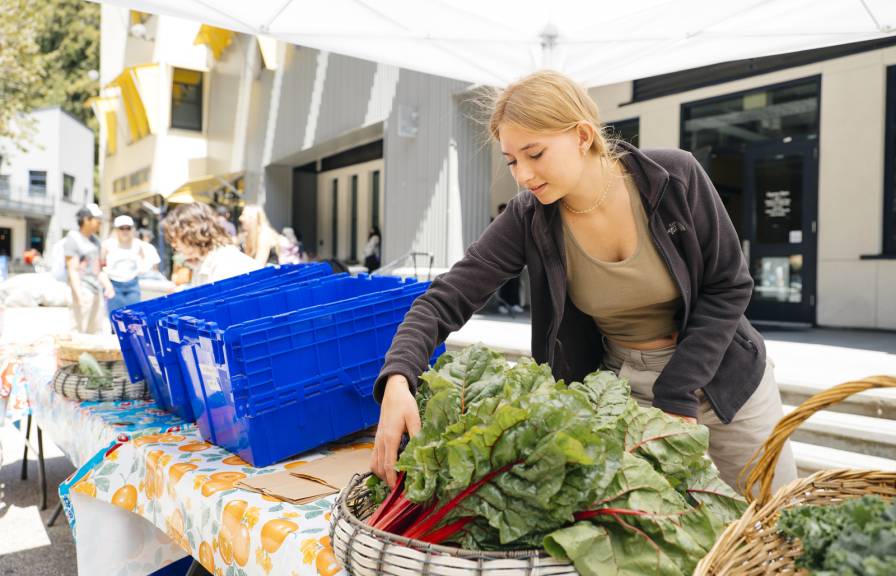 Student standing behind a table positioning pile of kale. 