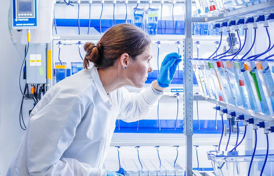 Researcher in a white lab coat with blue gloves in a fish lab setting.