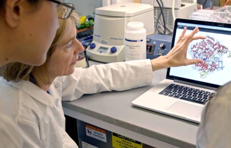 Two researchers look at genetic information on a computer screen