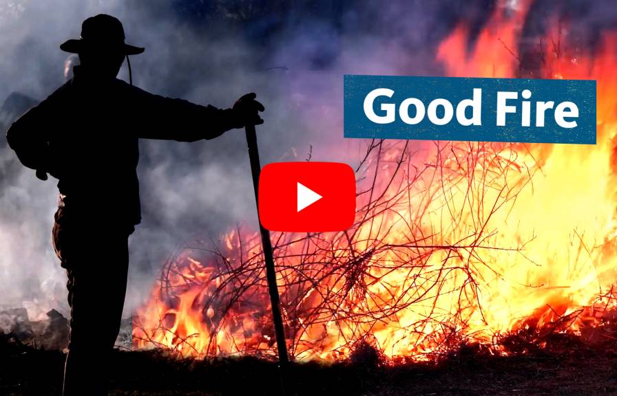 A silhouetted figure holding a long stick stands before a controlled burn. A graphic reads "Good Fire" next to a YouTube "play" button.