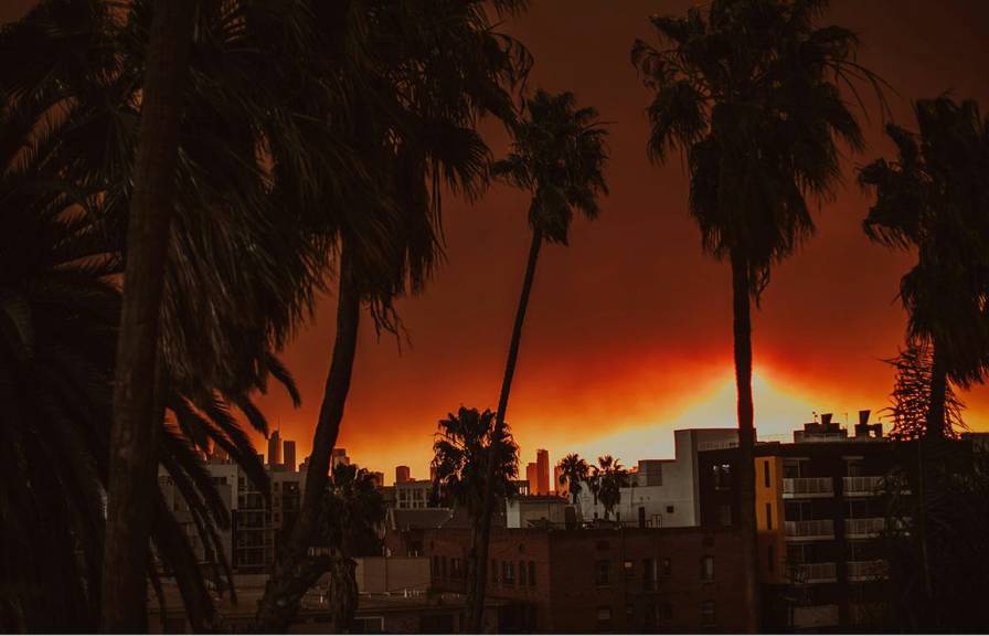Orange skies and wildfire flames are seen in the distance behind silhouetted palm trees