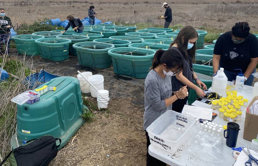 researchers working with materials and a grid of large water tubs