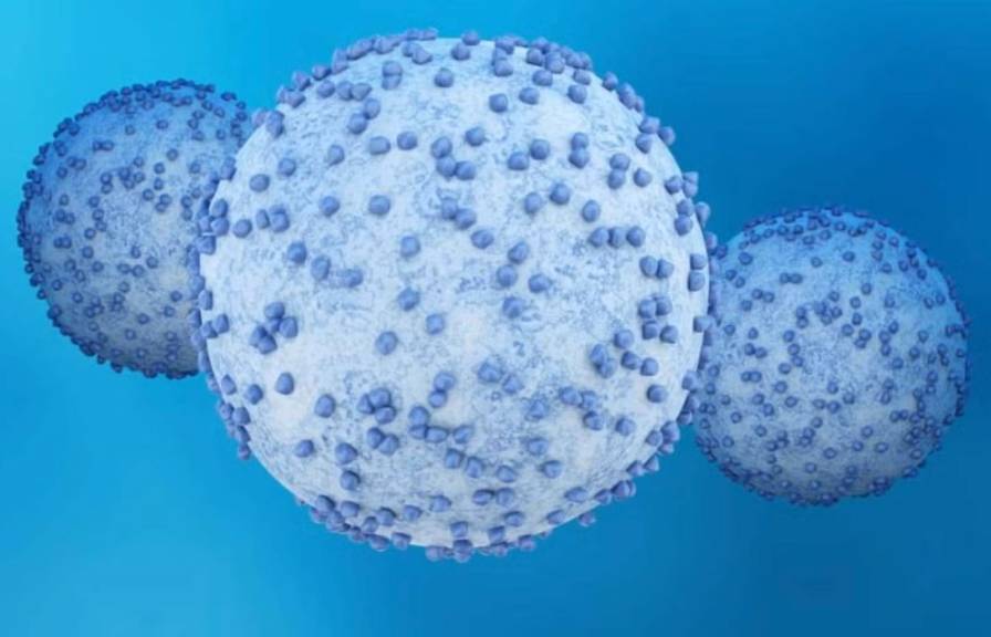 Illustration of three cells with textured surfaces and nodules against a blue gradient background.