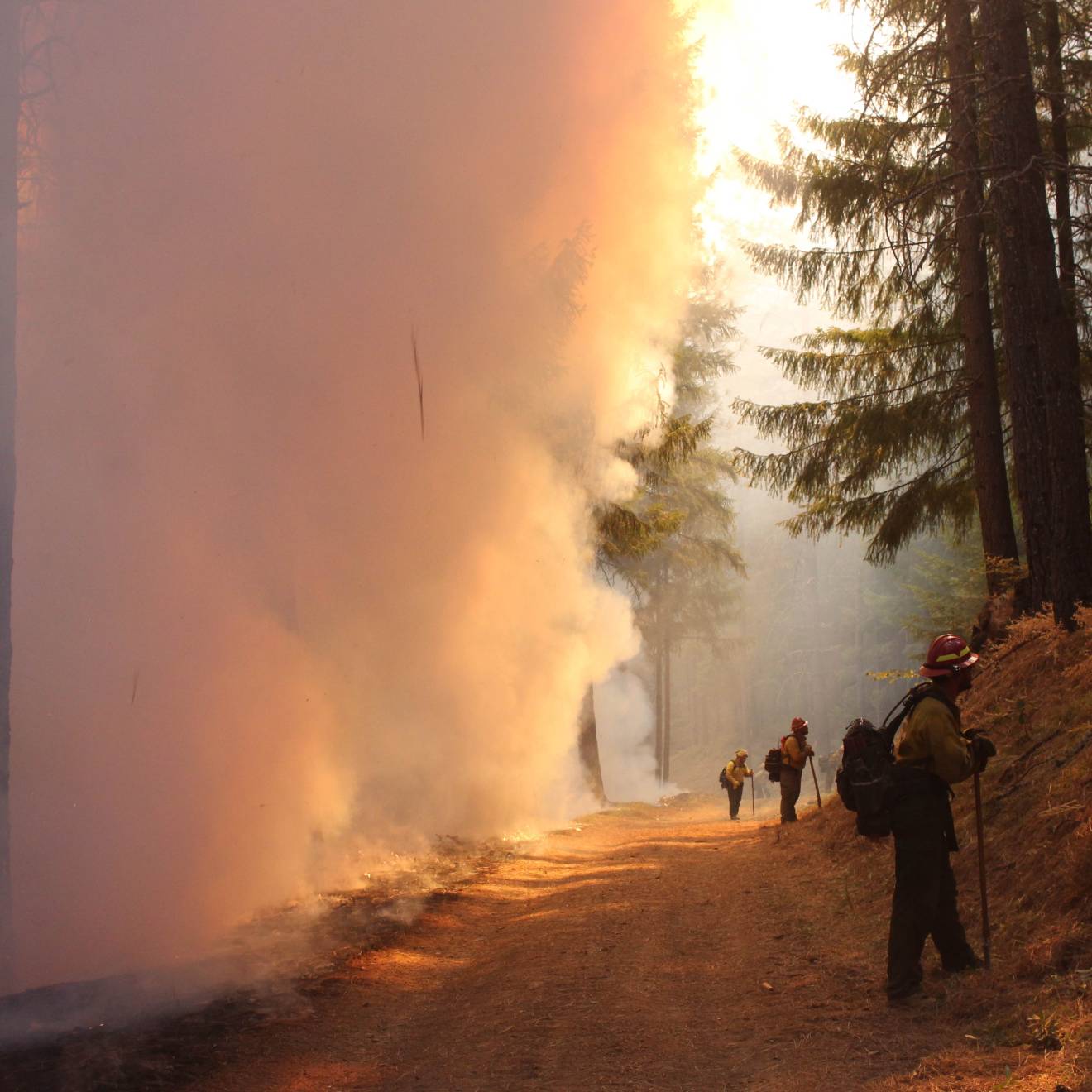 Firefighters battling the August Complex