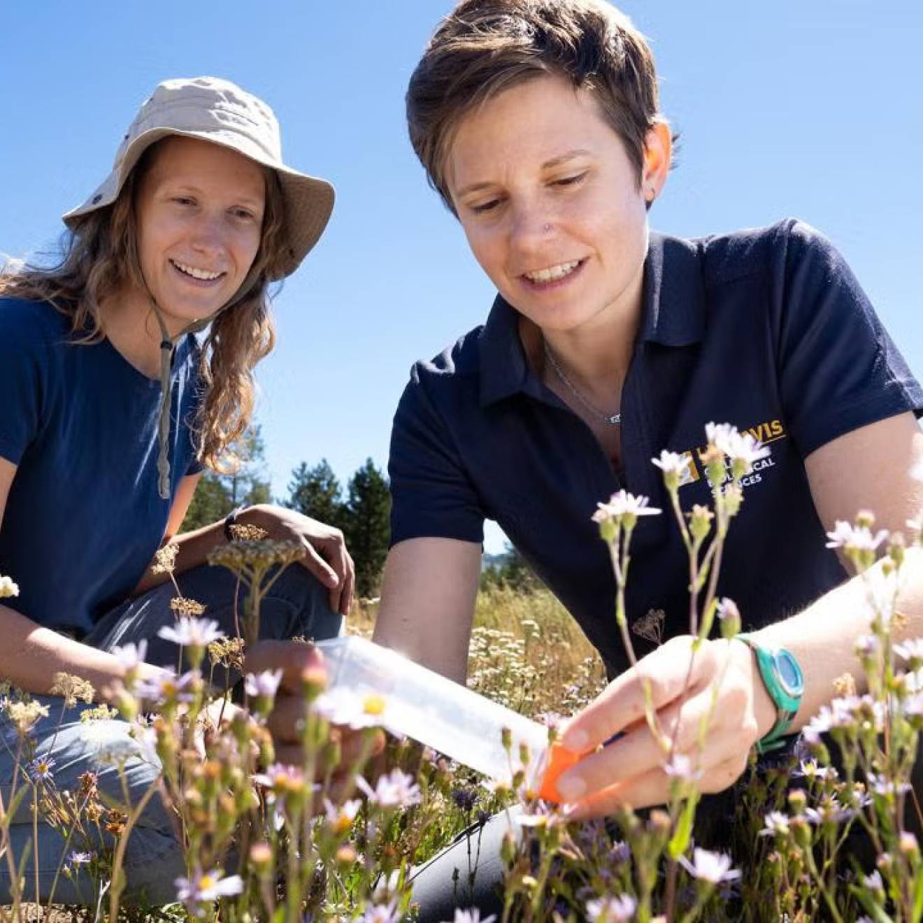 Two women in dark blue shirts kneeling in a meadow. One is holding a plastic tube while the other looks on
