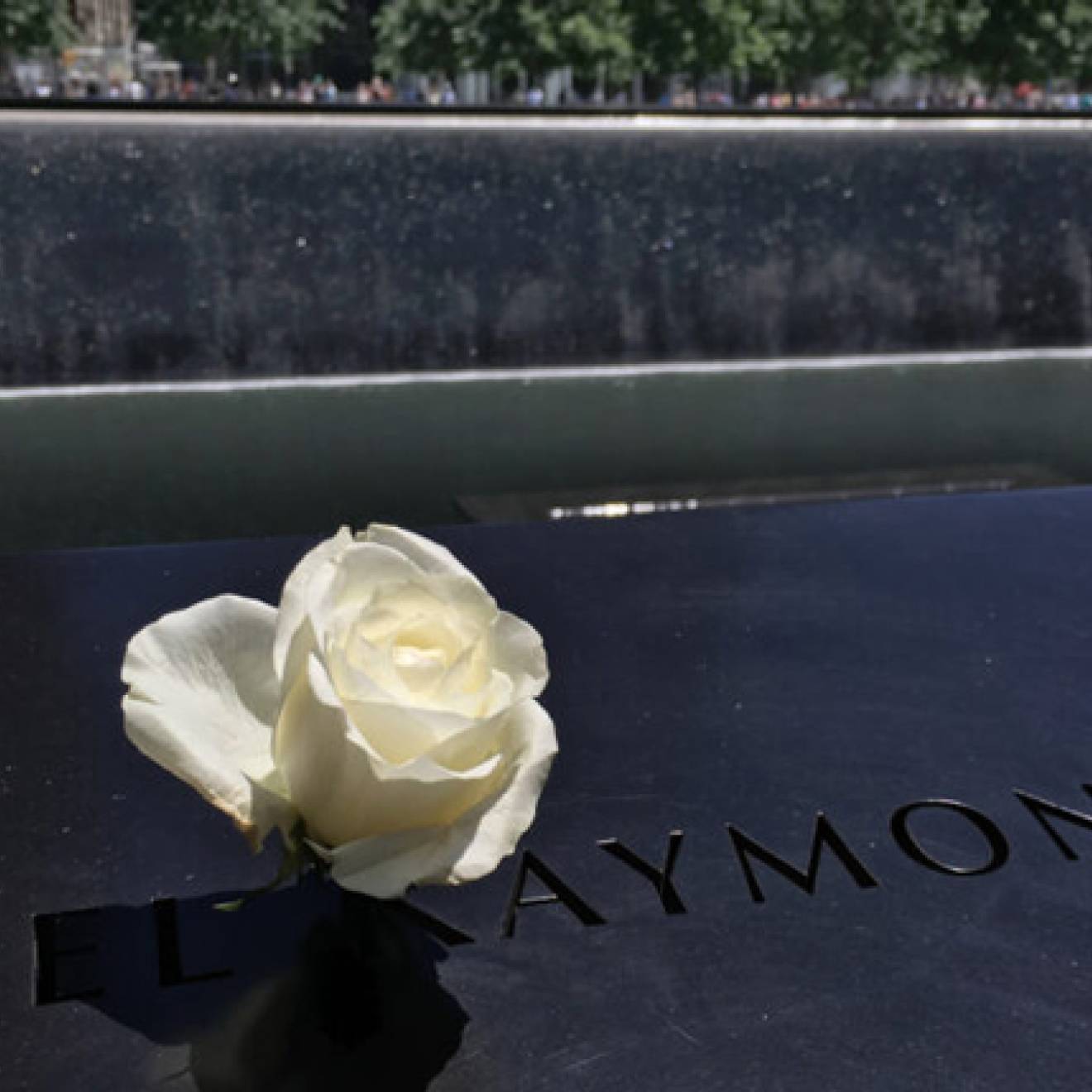 9/11 memorial with a white rose
