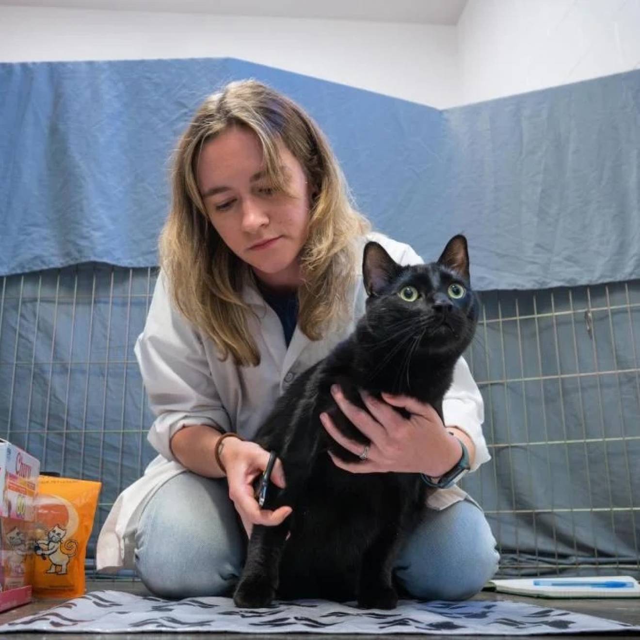 A young woman with blonde hair kneels behind a black cat holding nail trimmers. The cat is looking past the camera, and there's a tarp-covered fence and a cinder block wall in the background, suggesting an animal shelter.