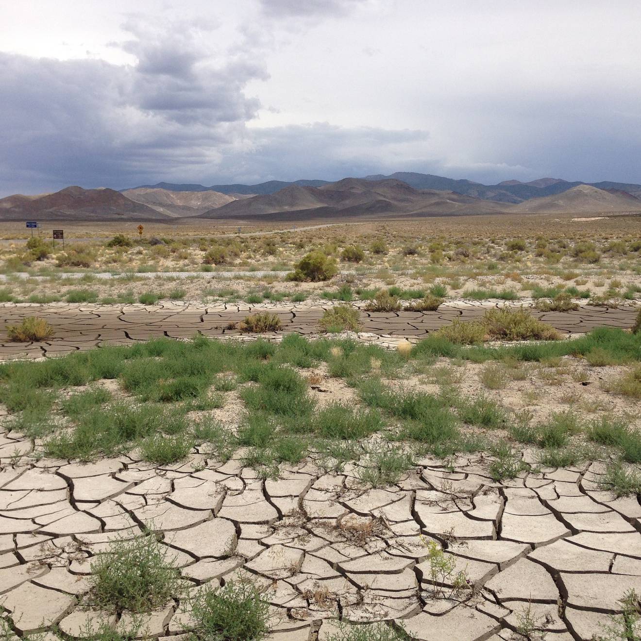 A parched Nevada landscape showing dry cracked earth