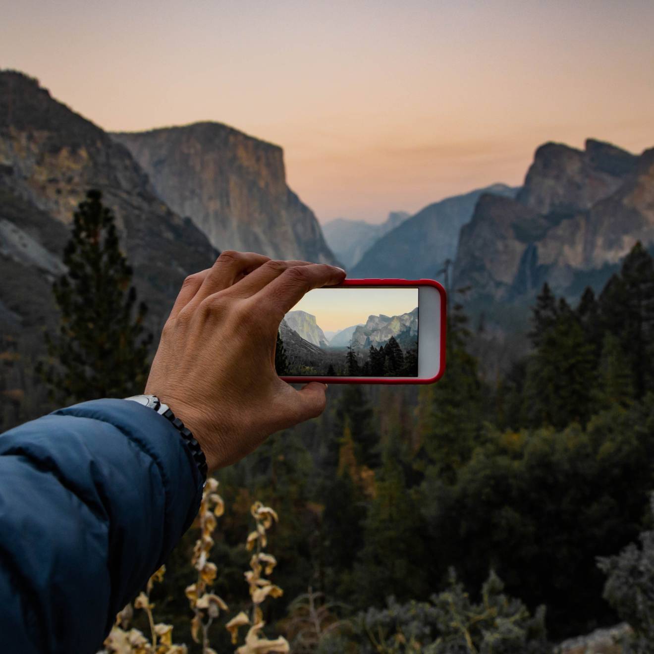 A hand holds a phone up to take a picture at sunset at Tunnel View in Yosemite National Park