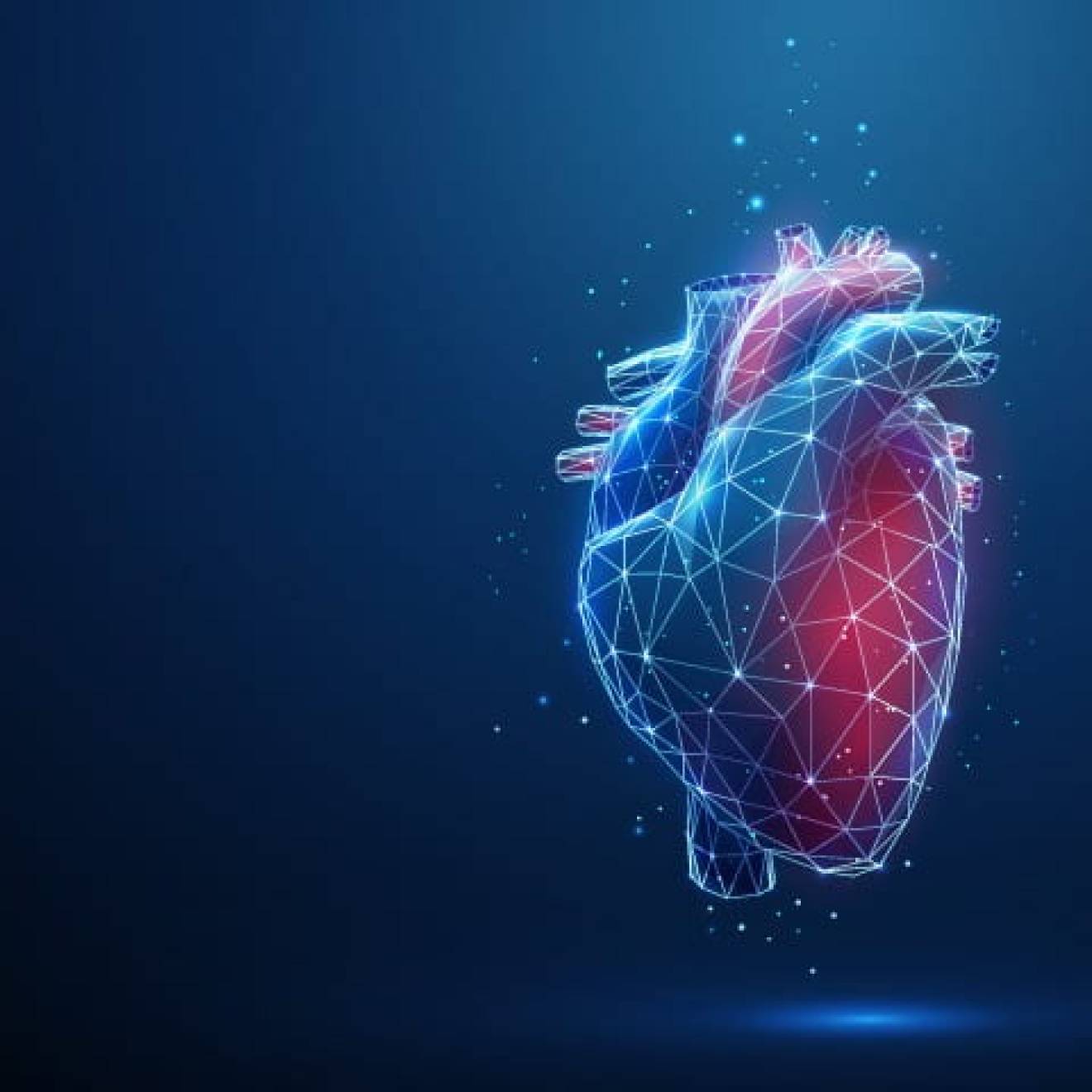 Illustration of a heart