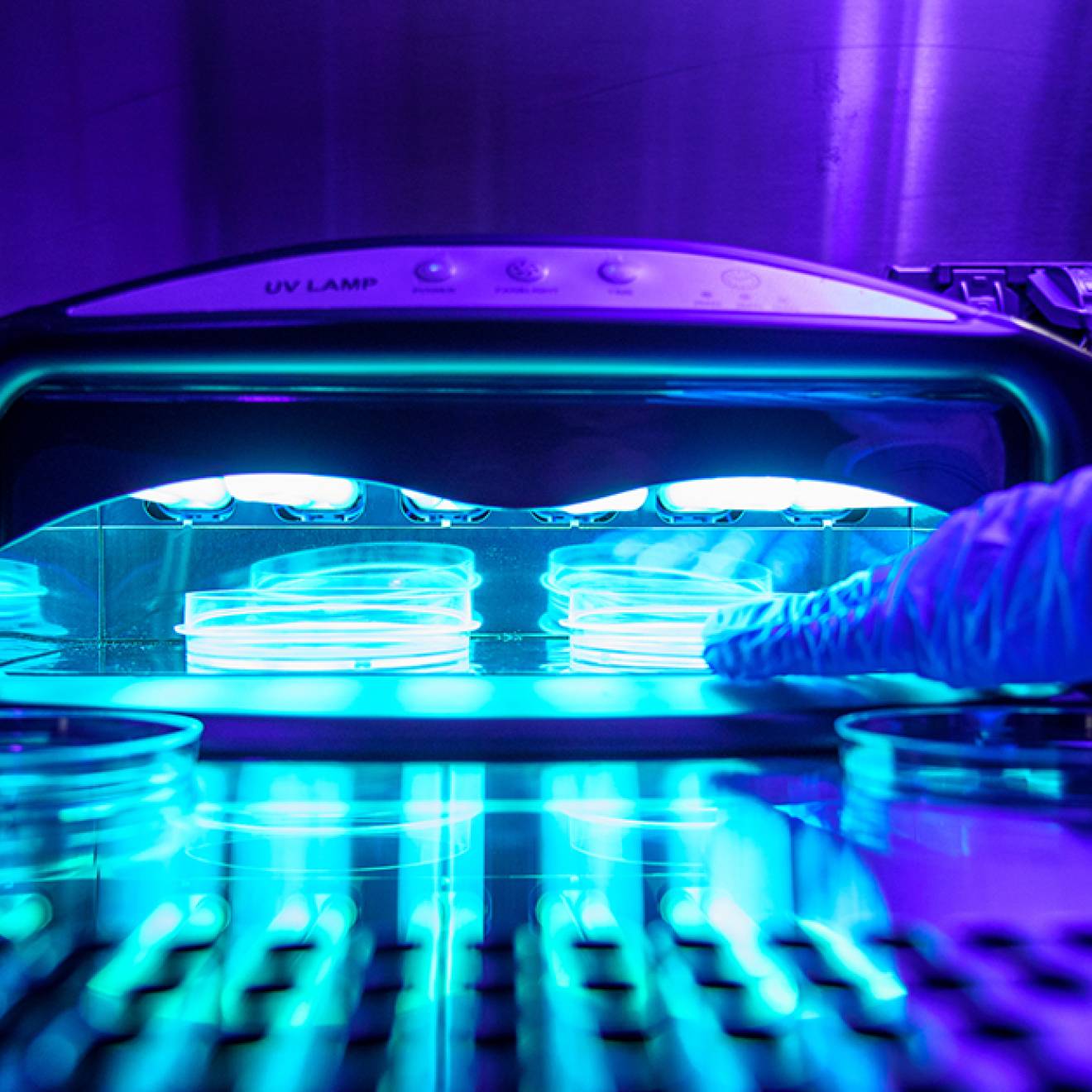 UV light-emitting devices and gloved hands conducting an experiment