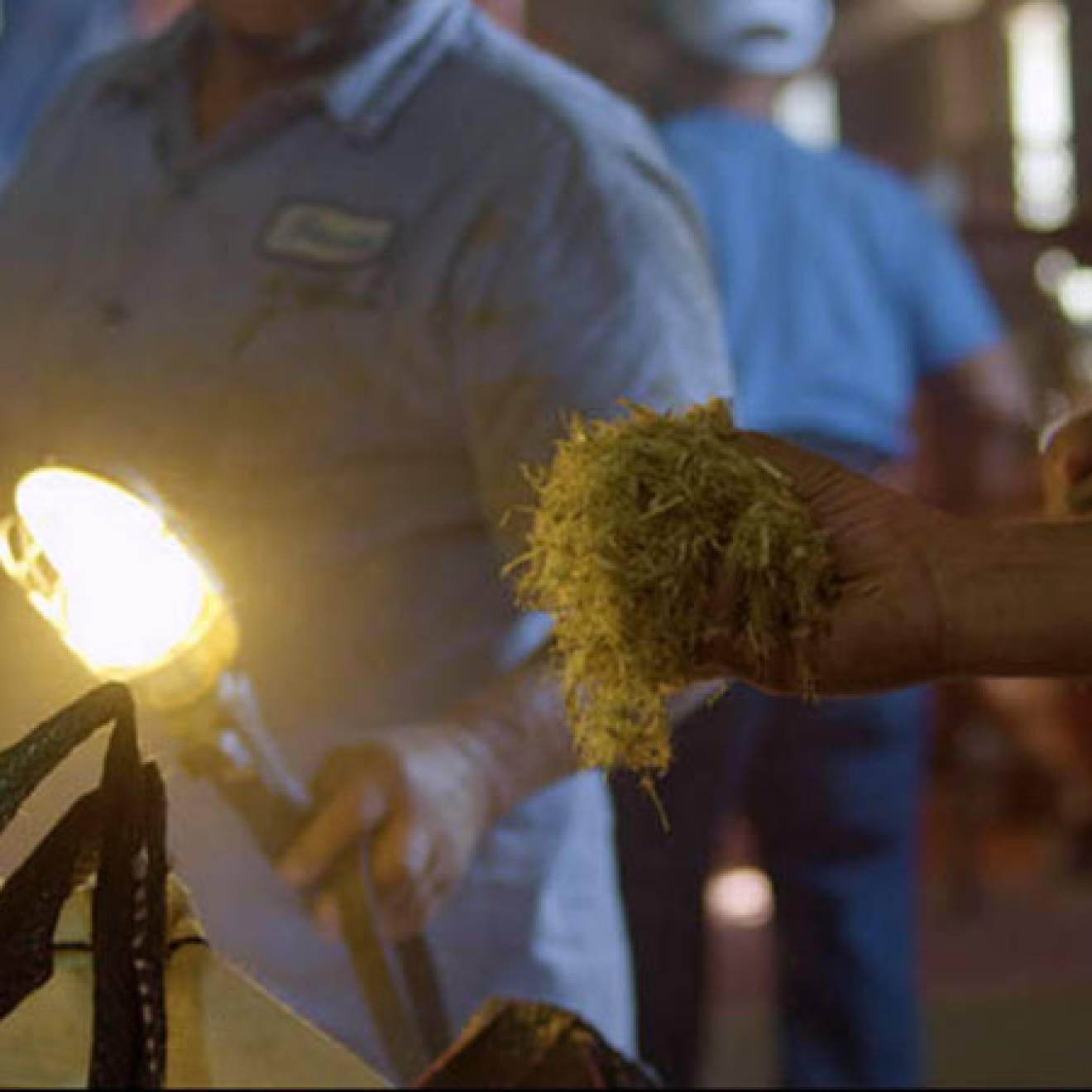 A close-up photo of a demonstration of how biochar is made