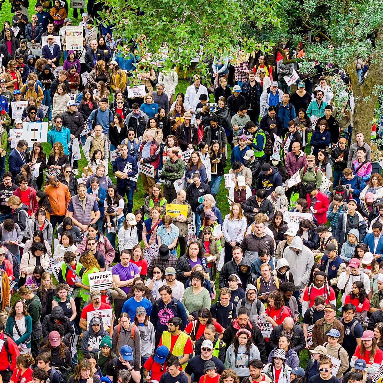 A large crowd holding signs gathers outdoors.