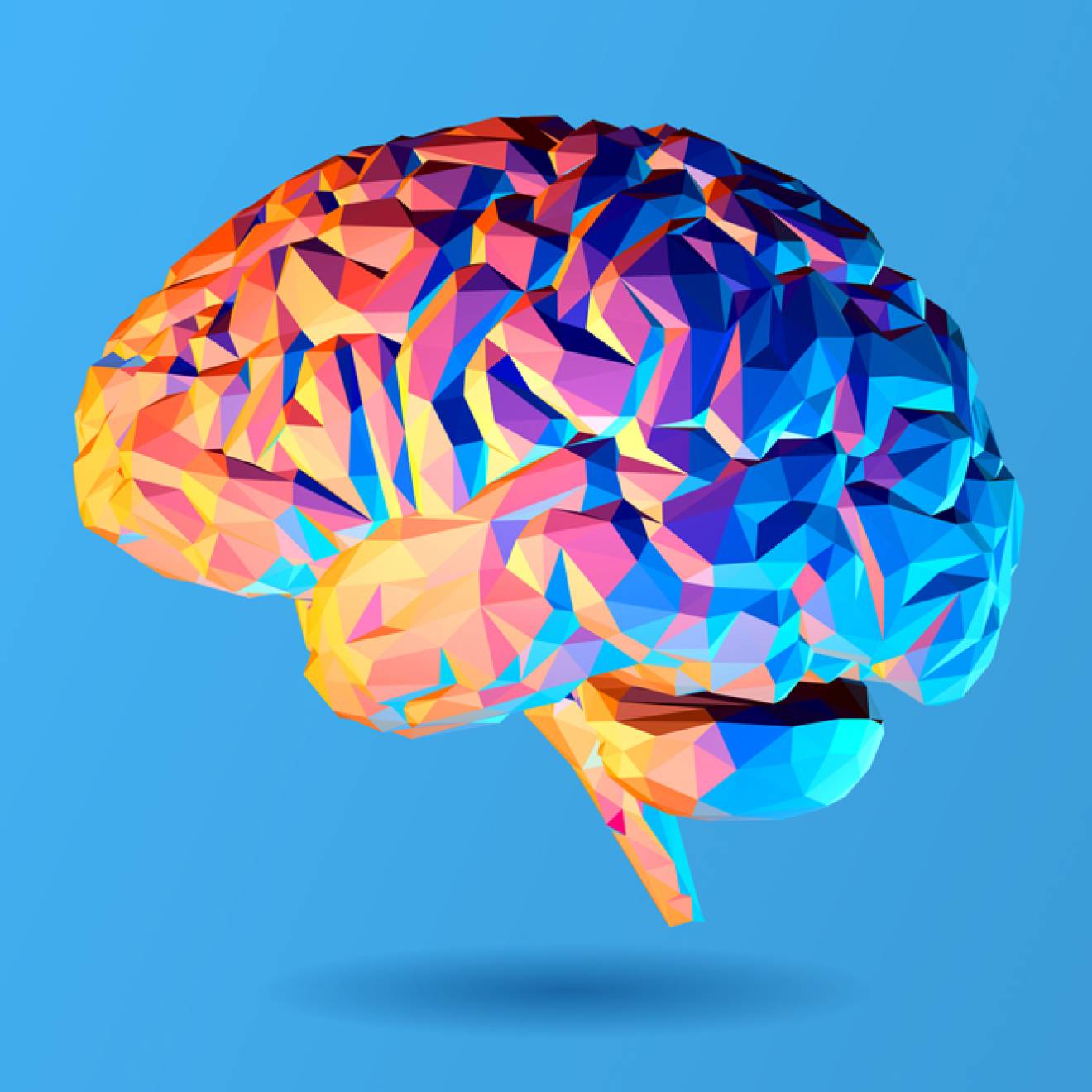 Brain illustration on blue background