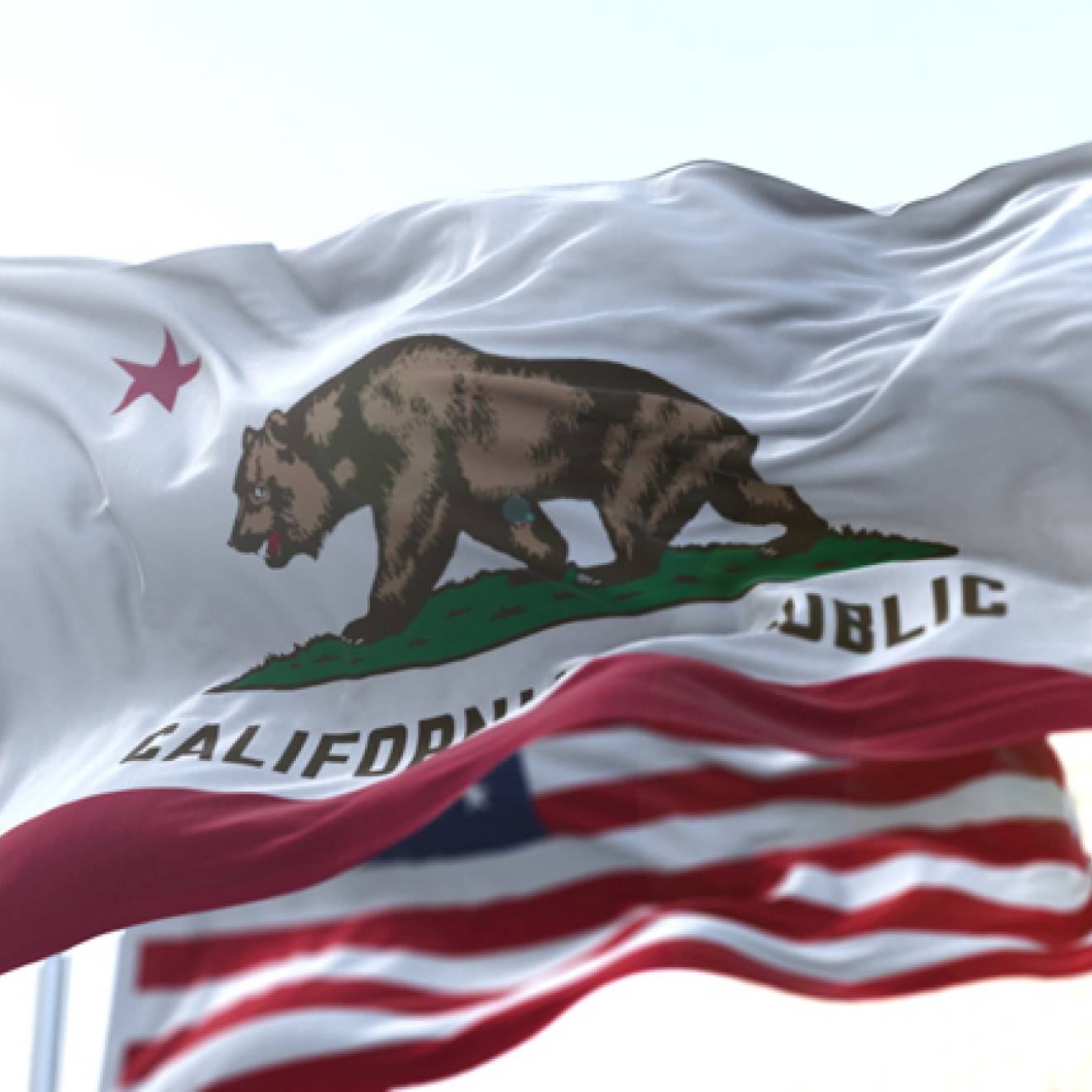 State of California flag flying in the wind.