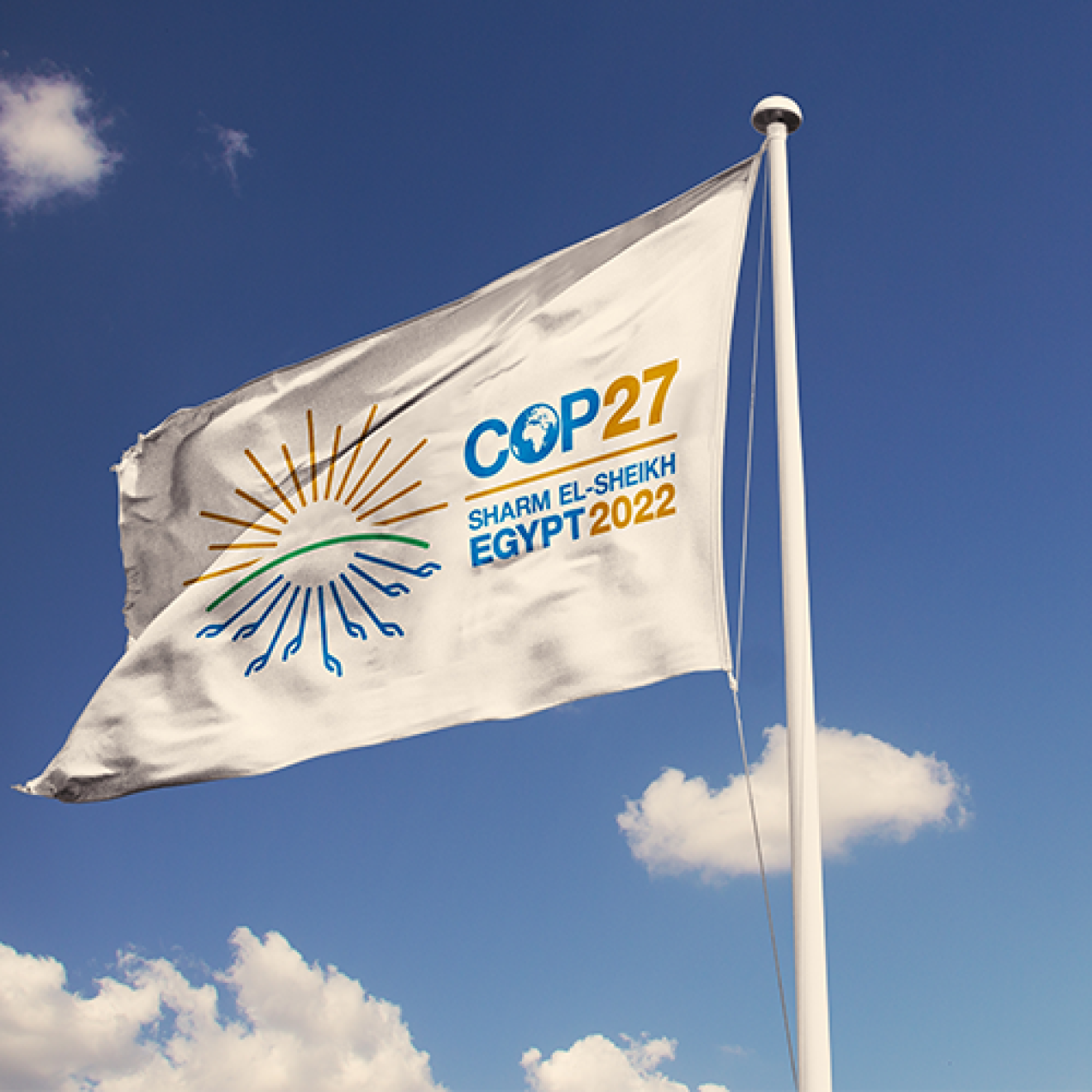 COP27 climate summit flag