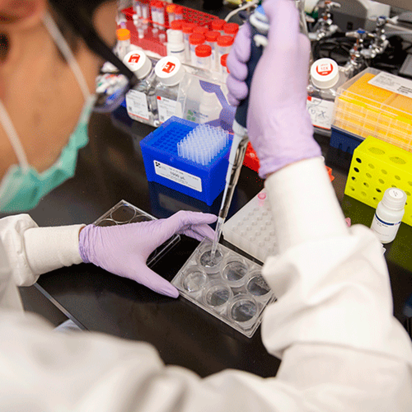Researcher using a pipette