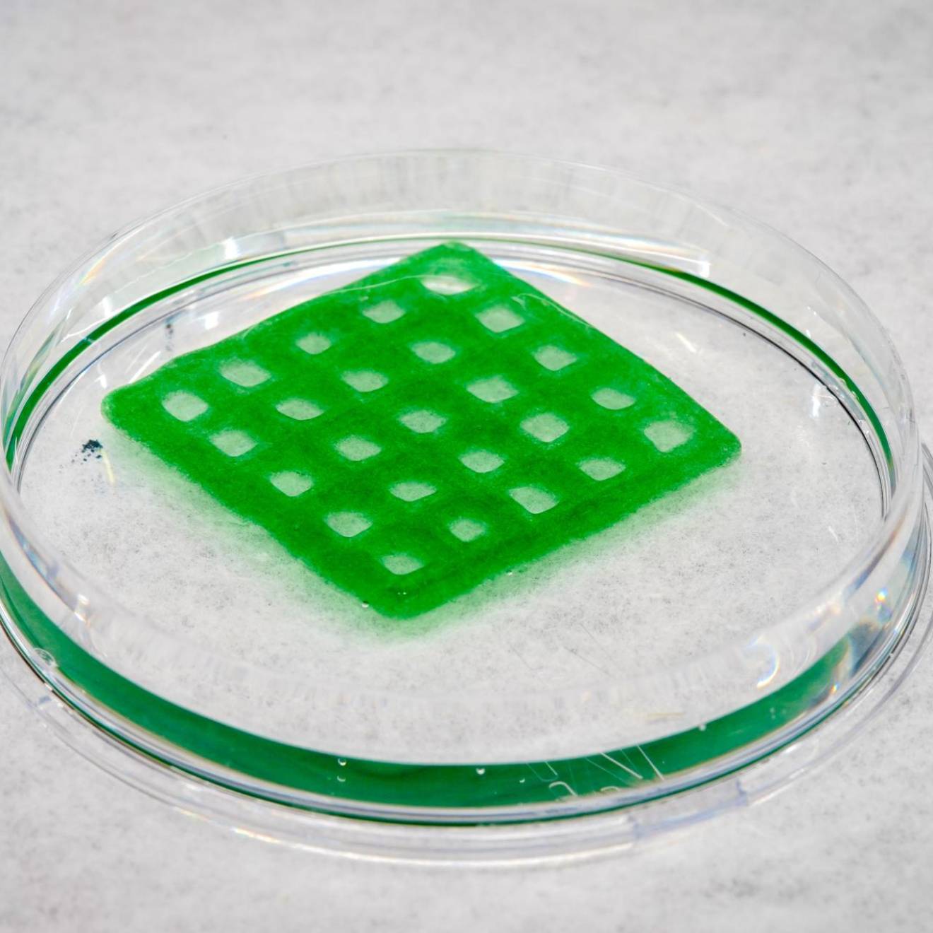 A transparent liquidish disc with a green grid on top of it