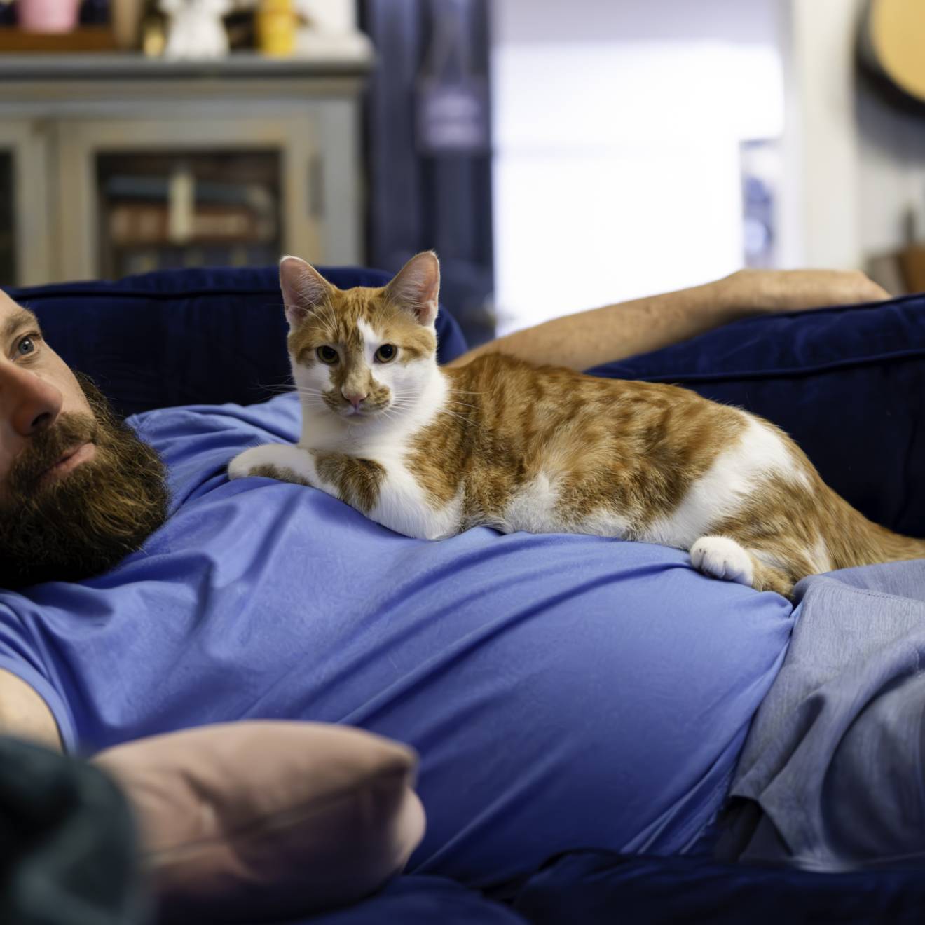 Middle age real man with dad bod lying on a couch relaxing at home with orange cat