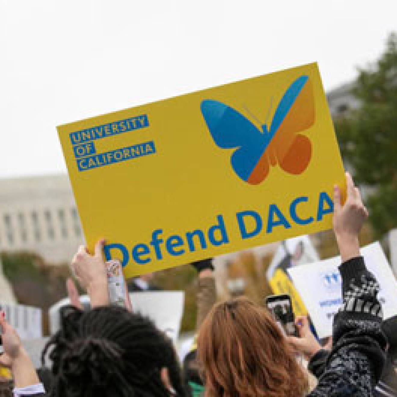 DACA supporters rally outside the Supreme Court on Nov. 12, 2019