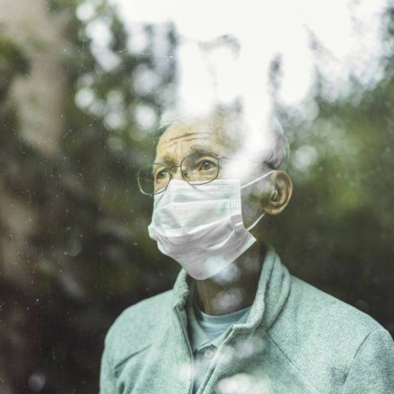 An older man in a mask looks out a window reflecting trees wistfully