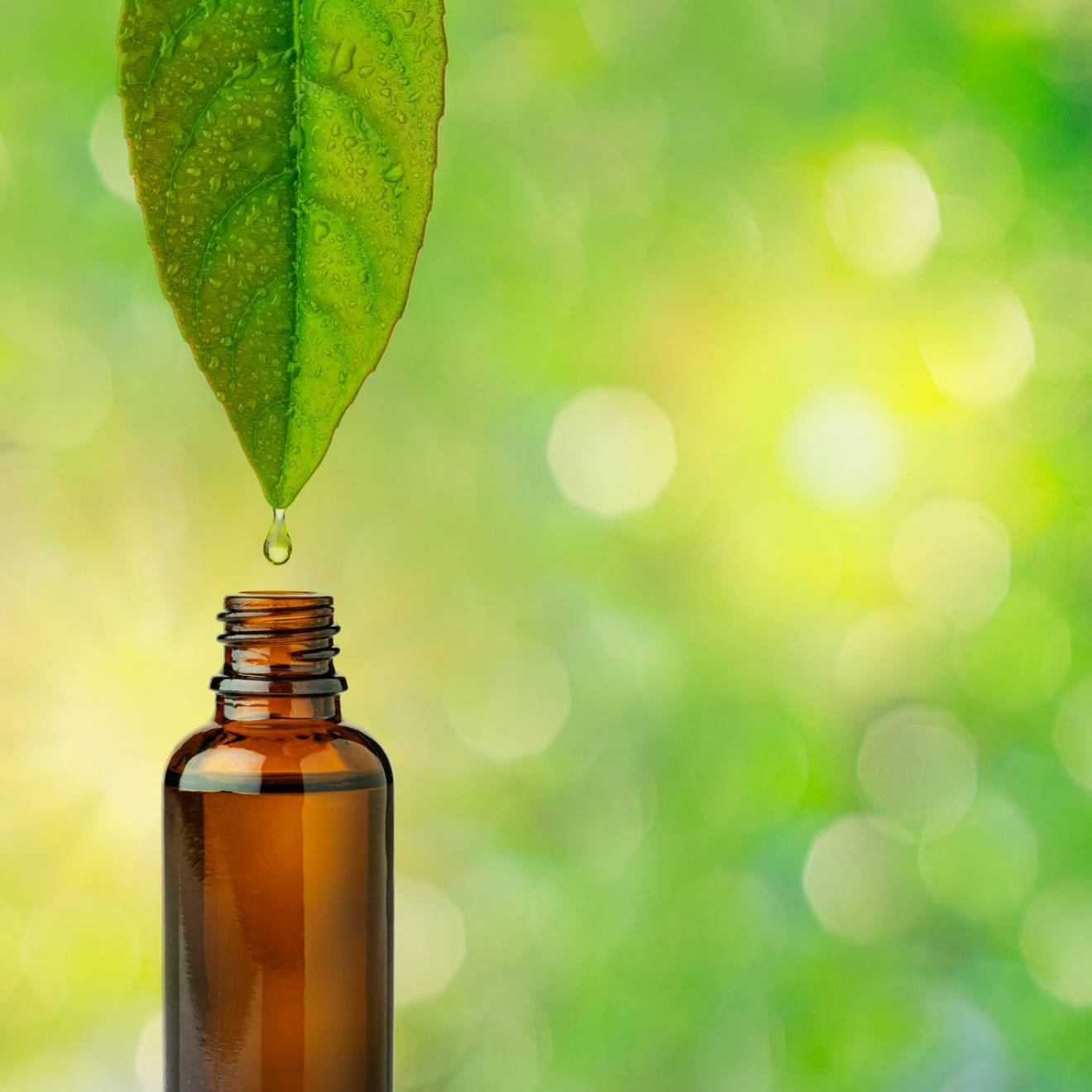 A leaf dripping into a small bottle on a green, nature background