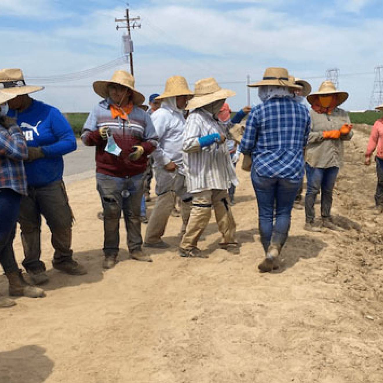 Farmworkers standing outside in a line next to a field