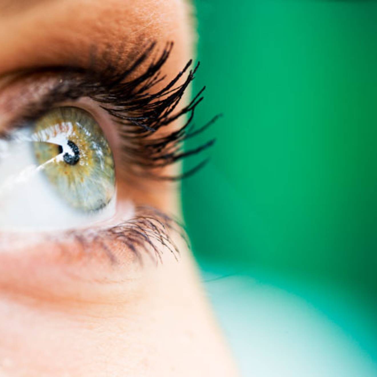 A green eye open against a green background