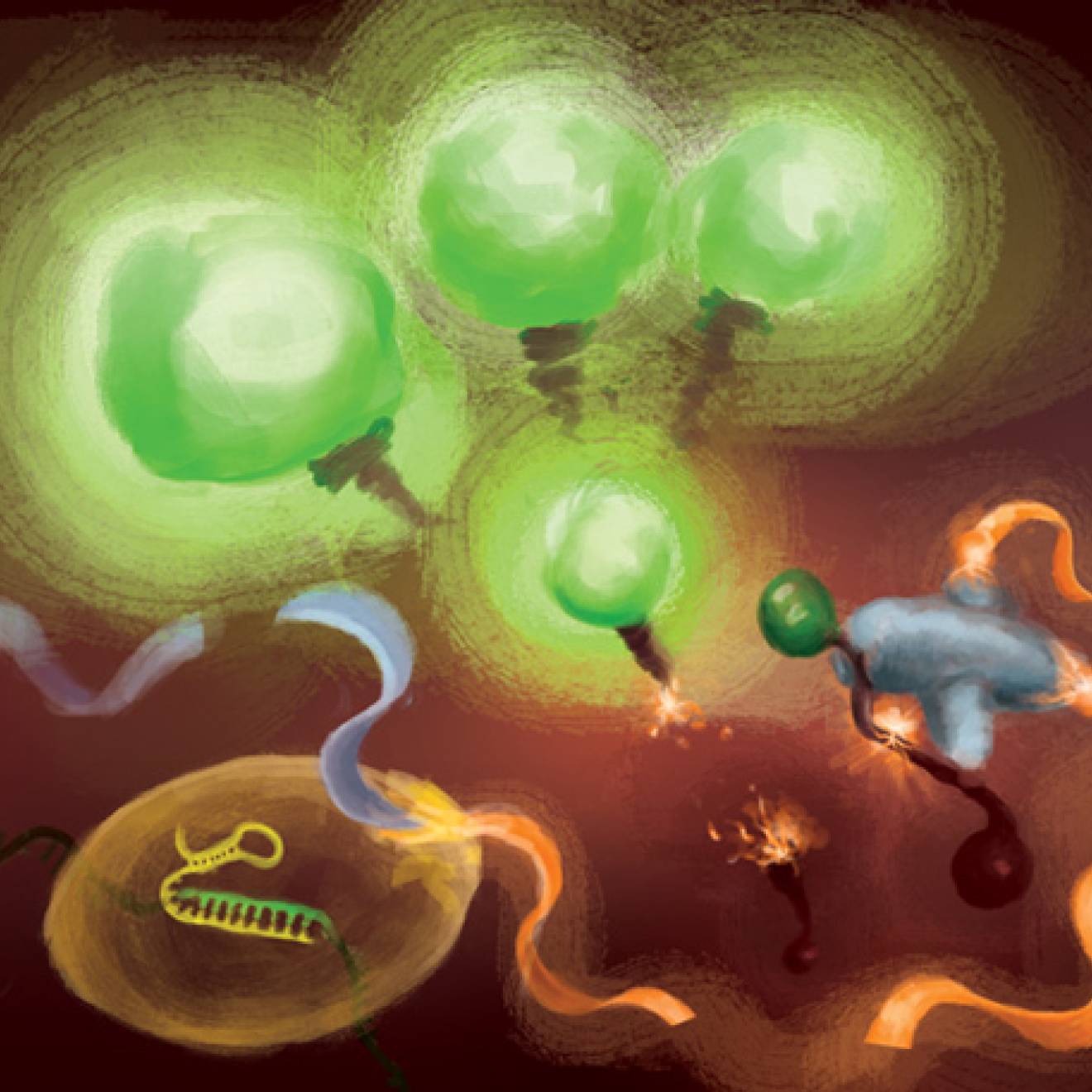 Illustration of how the CRISPR COVID diagnostic works on a molecular level