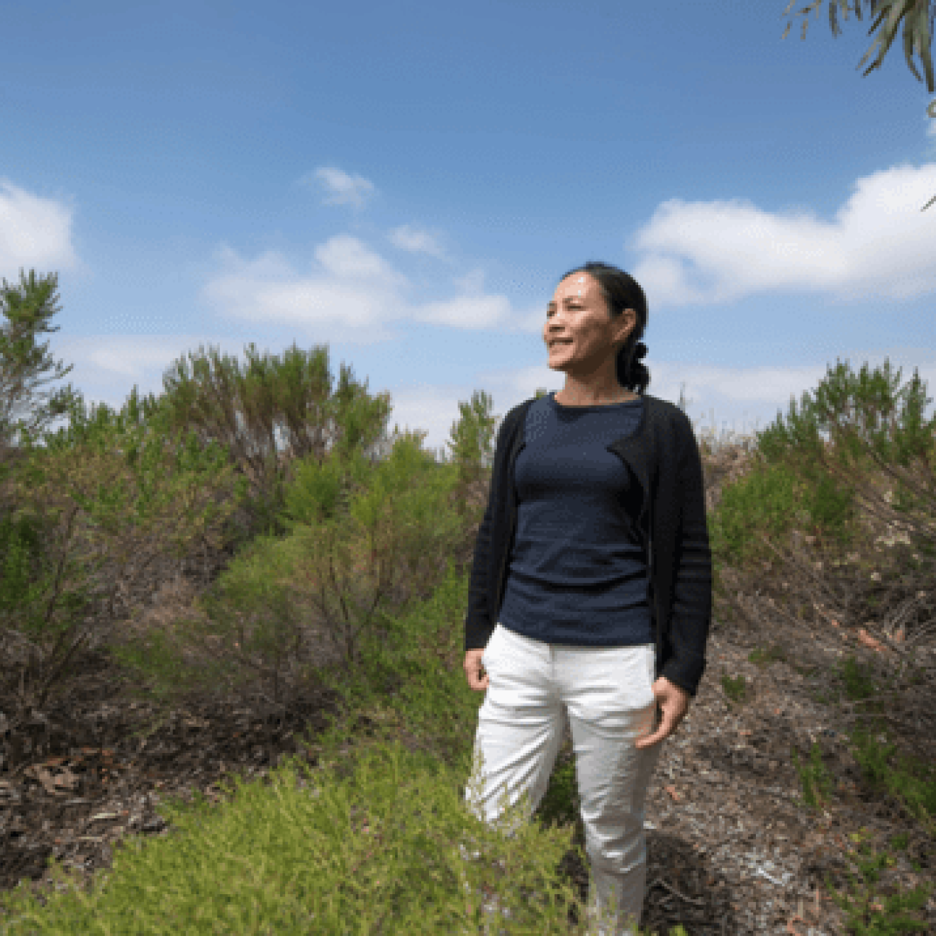 Study author Jun Wu in a brush-filled field