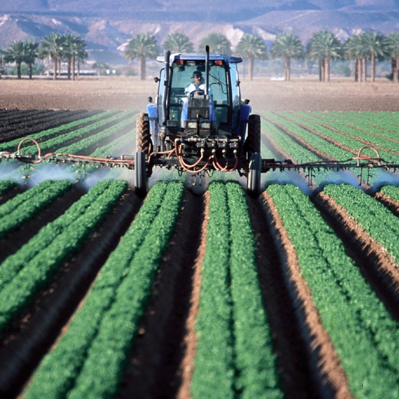 Man in tractor spraying crops in a field