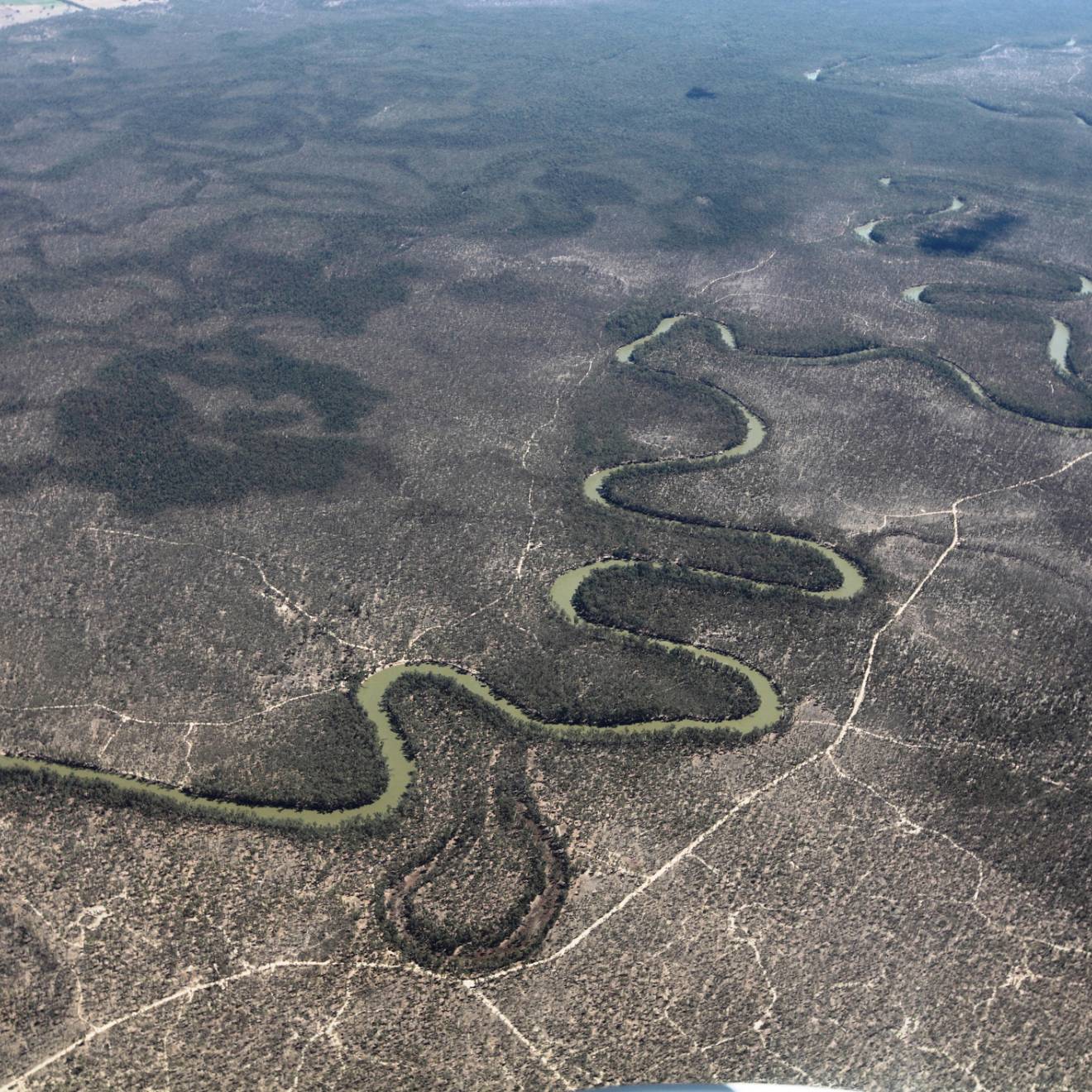 The Murray River in Australia as seen from the air