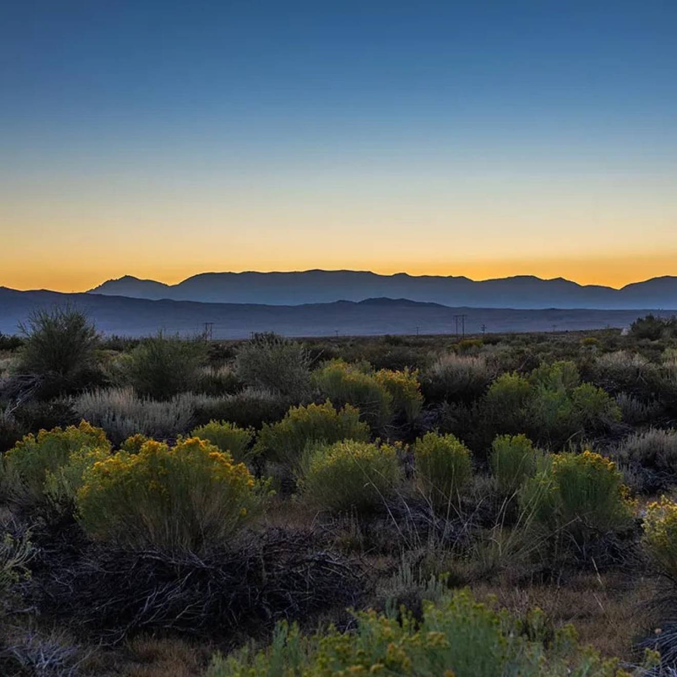 A view of a flat land dotted by flowers near mountains and the ocean at sunrise or sunset