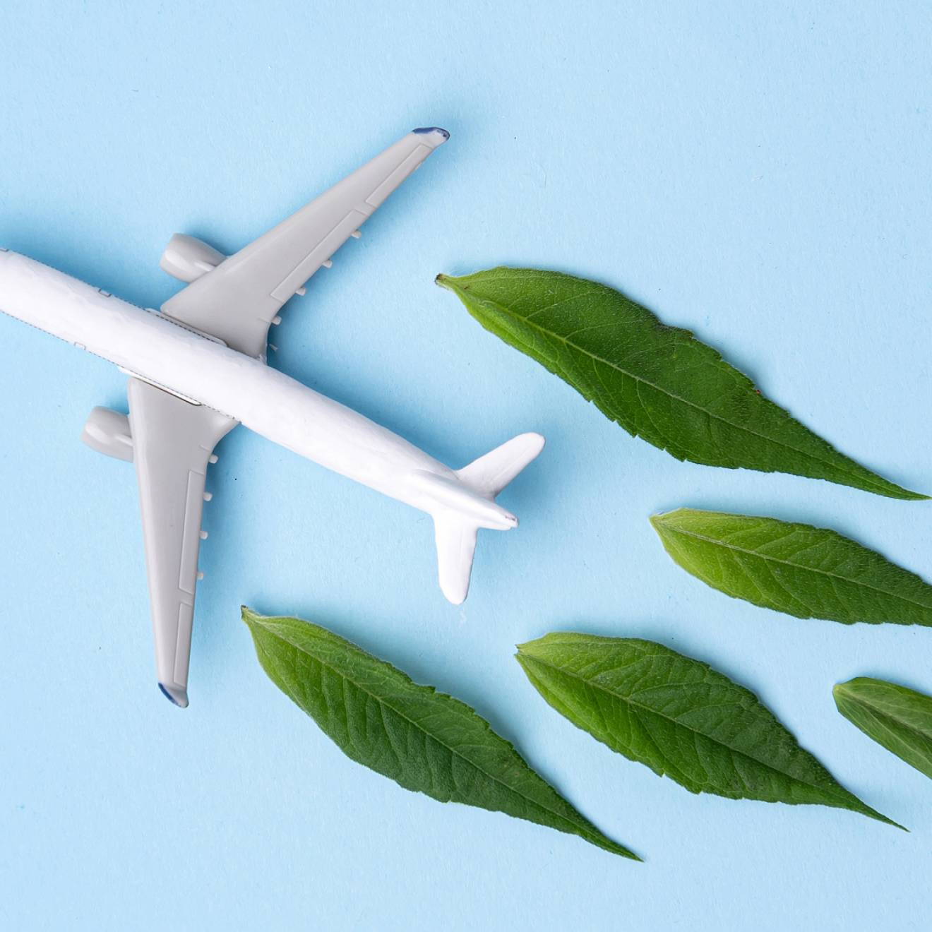 A toy plane with green leaves behind it