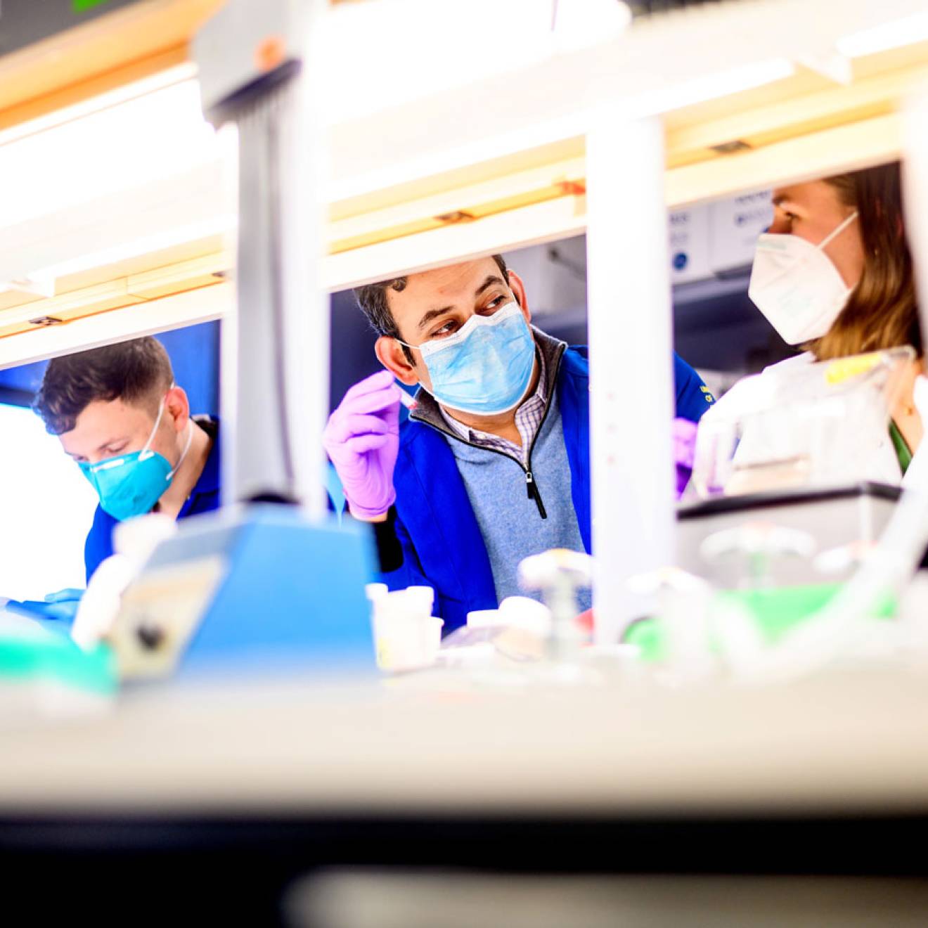 Dr. Sagar Bapat speaks with staff research associate Sarah Gayer in his lab at UCSF’s Parnassus campus.