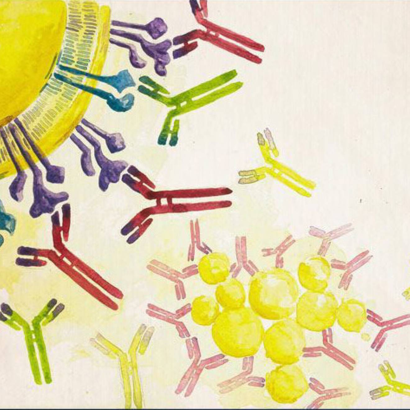 Watercolor illustration of a microscopic concept of a bacterium with antibodies