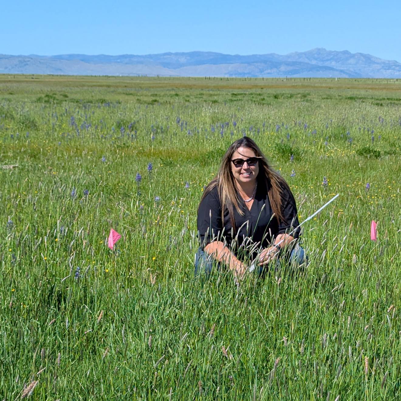A woman wearing sunglasses crouched in a grassy field with cattle far in the background