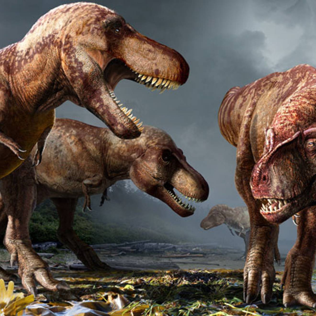 Why T. rex has tiny arms  University of California