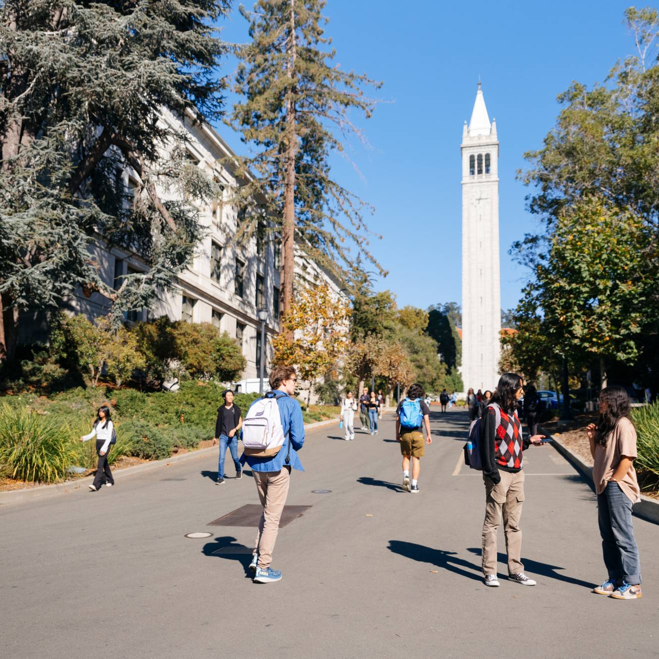Students walk and talk on a tree-lined wide walkway in front of Sather Tower on the UC Berkeley campus