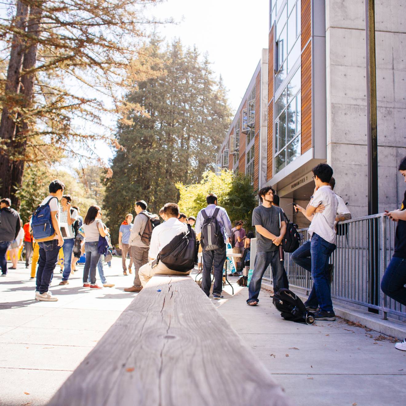 Students gather outside on a sunny day among the redwoods at UC Santa Cruz