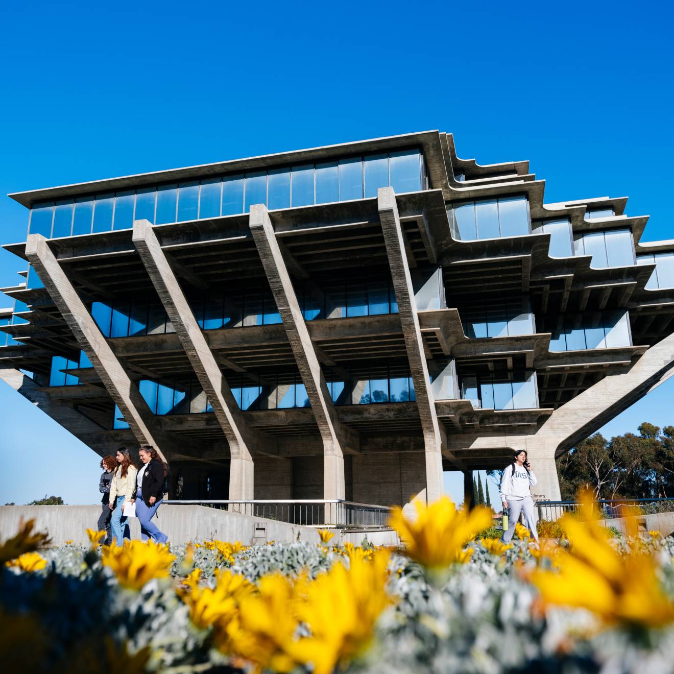 Geisel Library at UC San Diego with yellow flowers in the foreground