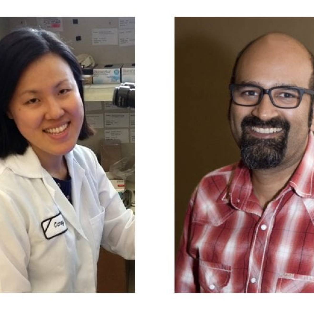 Two separate headshots in one collage image: Sunil Ghandi, pictured here with study co-author Carey Huh on the left