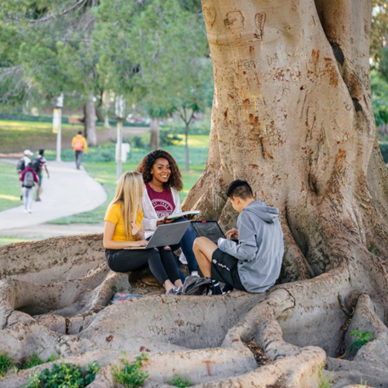 Three students sit under a tree on the Irvine campus
