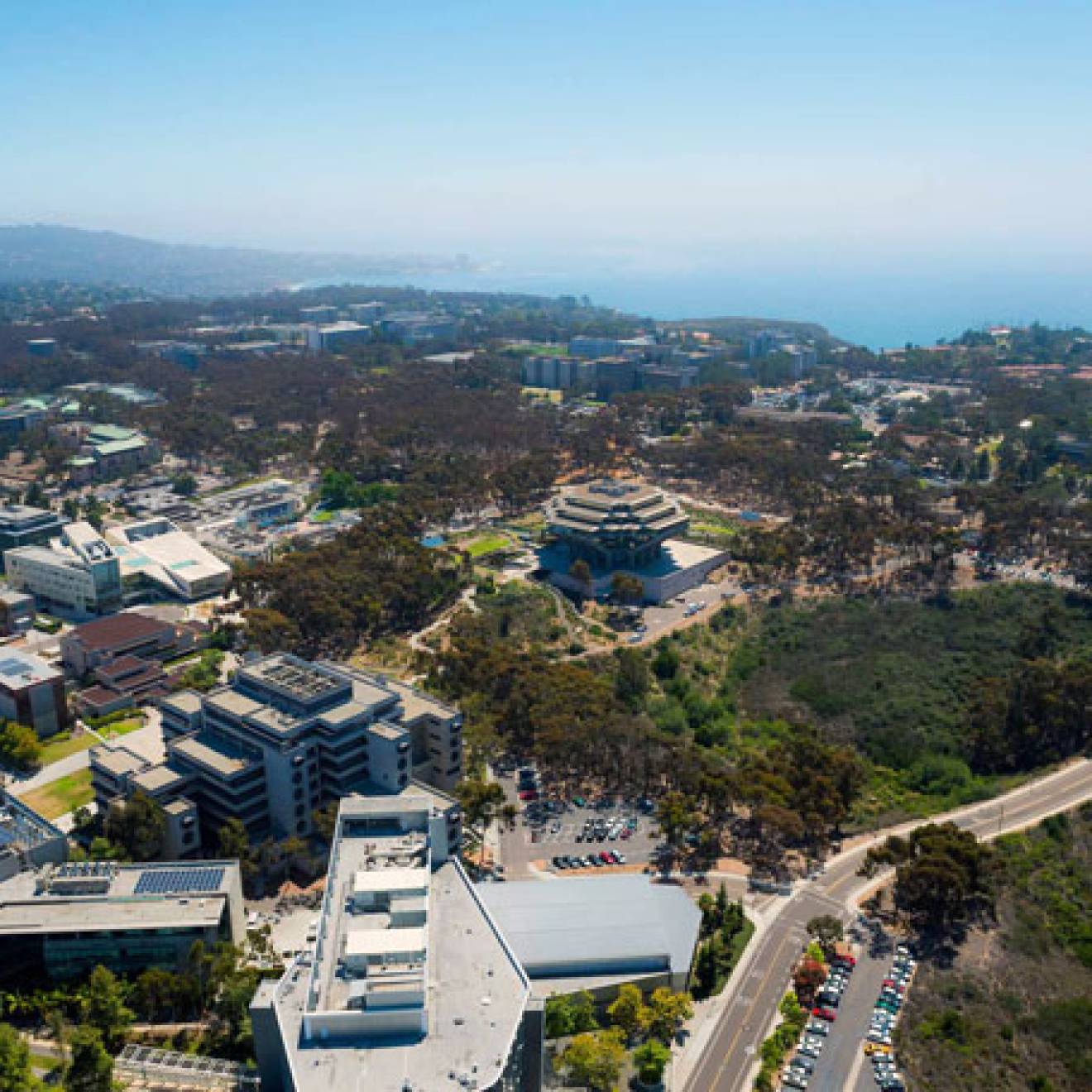 Overhead shot of UC San Diego campus