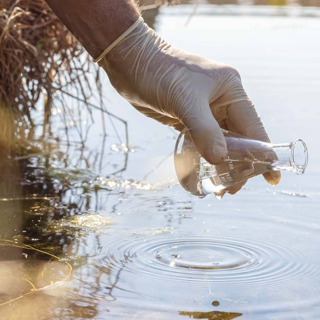 A gloved hand collecting water outside
