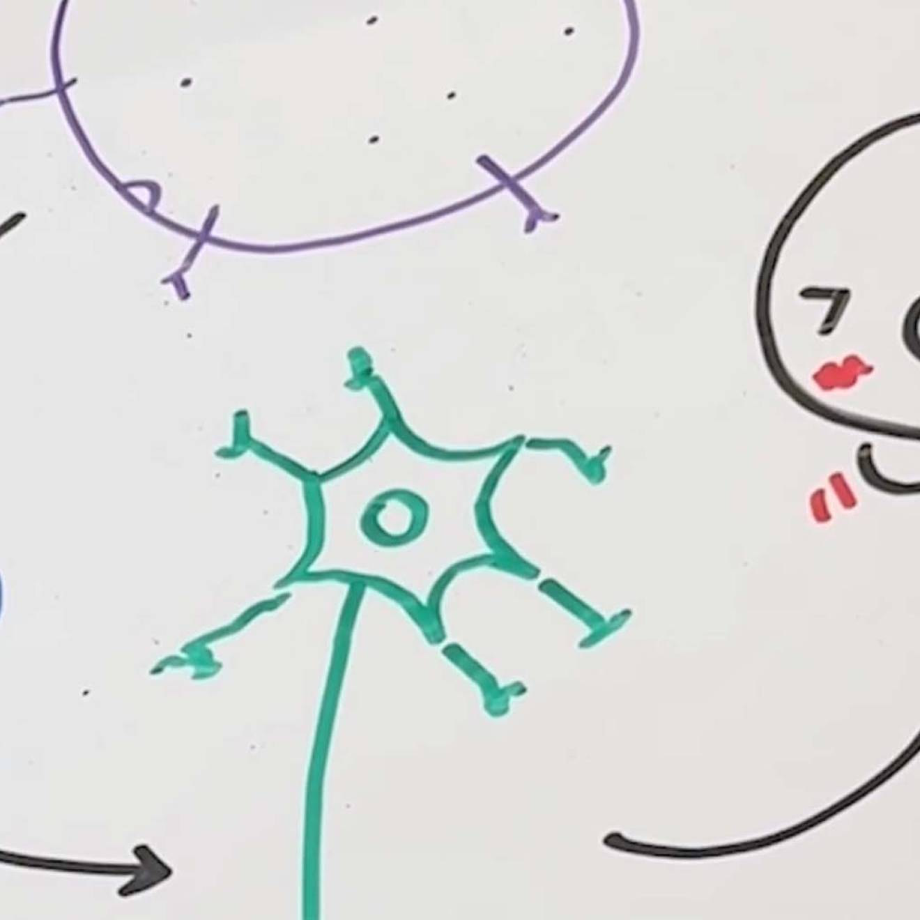 Illustration with whiteboard markers of a little cartoon agitated by itch and how the nervous system works on a whiteboard