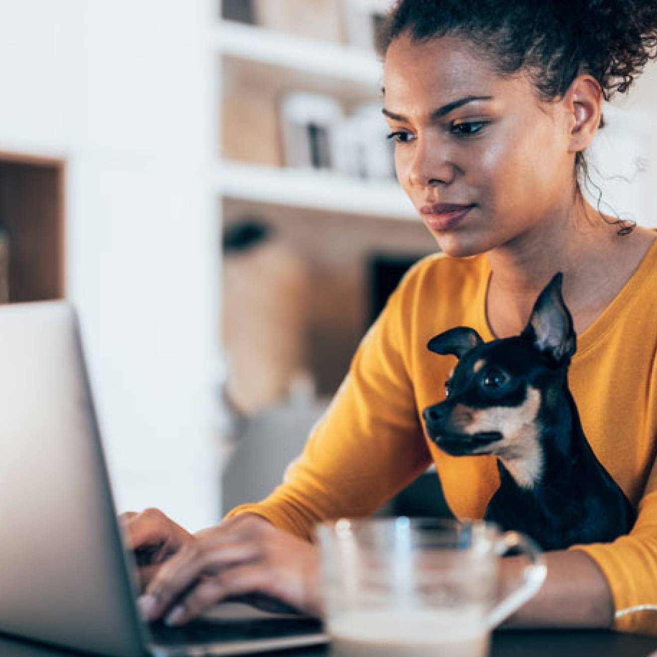 Young Black woman with small dog working on computer together