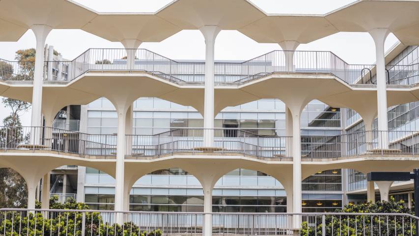 UC San Diego